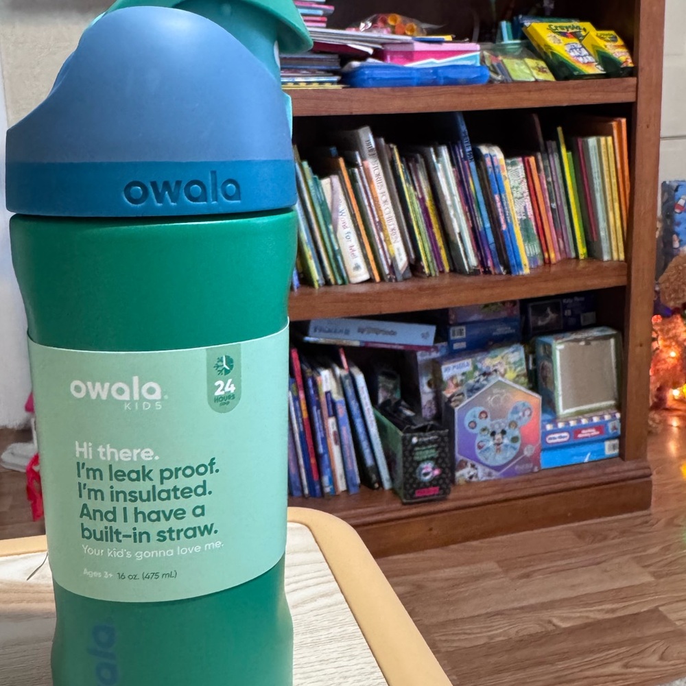 Owala Kids Green and Blue Insulated Bottle